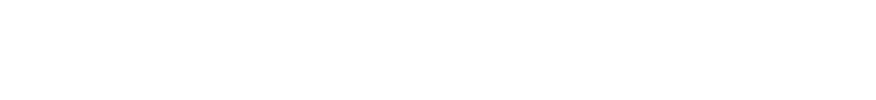 Navien Logo